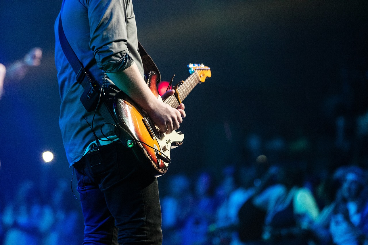 audience concert guitar guitarist 1835431