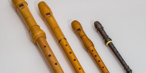 flute recorder musical instruments 1758799